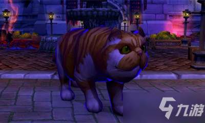 《魔兽世界》宠物虚痕猫获取攻略