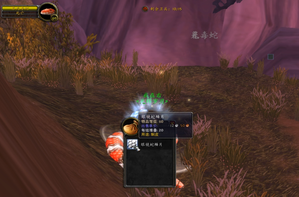 《魔兽世界》tbc怀旧服双采剥皮哪个赚钱