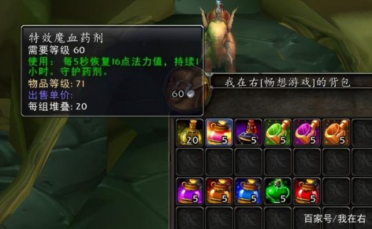 魔兽世界tbc怀旧服守护药剂有哪些