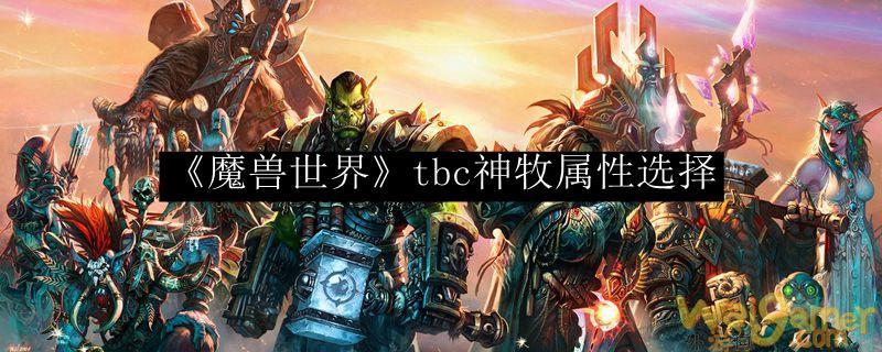 《魔兽世界》tbc神牧属性选择