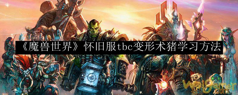 《魔兽世界》怀旧服tbc变形术猪学习方法