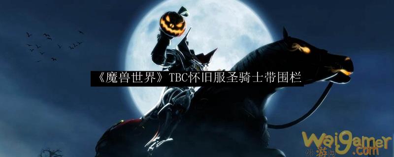 《魔兽世界》TBC怀旧服圣骑士带围栏