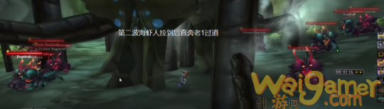 《魔兽世界》TBC怀旧服圣骑士带围栏