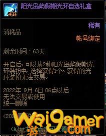 DNF阳光岛屿假期光环自选礼盒能开出什么