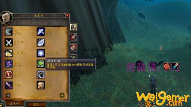 魔兽世界wlk猎人宝宝技能怎么学(魔兽世界wlk猎人武器)