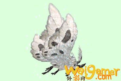 魔兽世界wlk飞蛾在哪抓(魔兽世界wlk飞行坐骑)