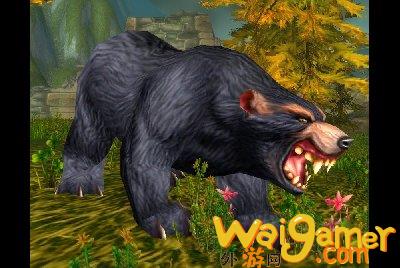 魔兽世界wlk熊在哪抓(魔兽世界WLK熊咋样)