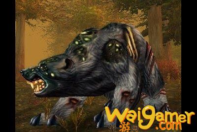 魔兽世界wlk熊在哪抓(魔兽世界WLK熊咋样)