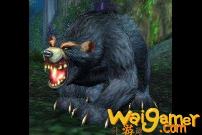 魔兽世界wlk熊在哪抓(魔兽世界WLK熊咋样)