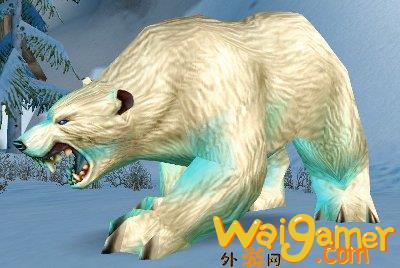 魔兽世界wlk熊在哪抓(魔兽世界WLK熊咋样)