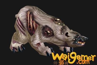 魔兽世界wlk熊在哪抓(魔兽世界WLK熊咋样)