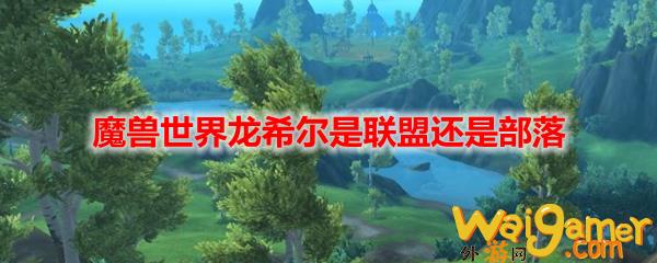 魔兽世界龙希尔是联盟还是部落(魔兽世界龙希尔技能演示)