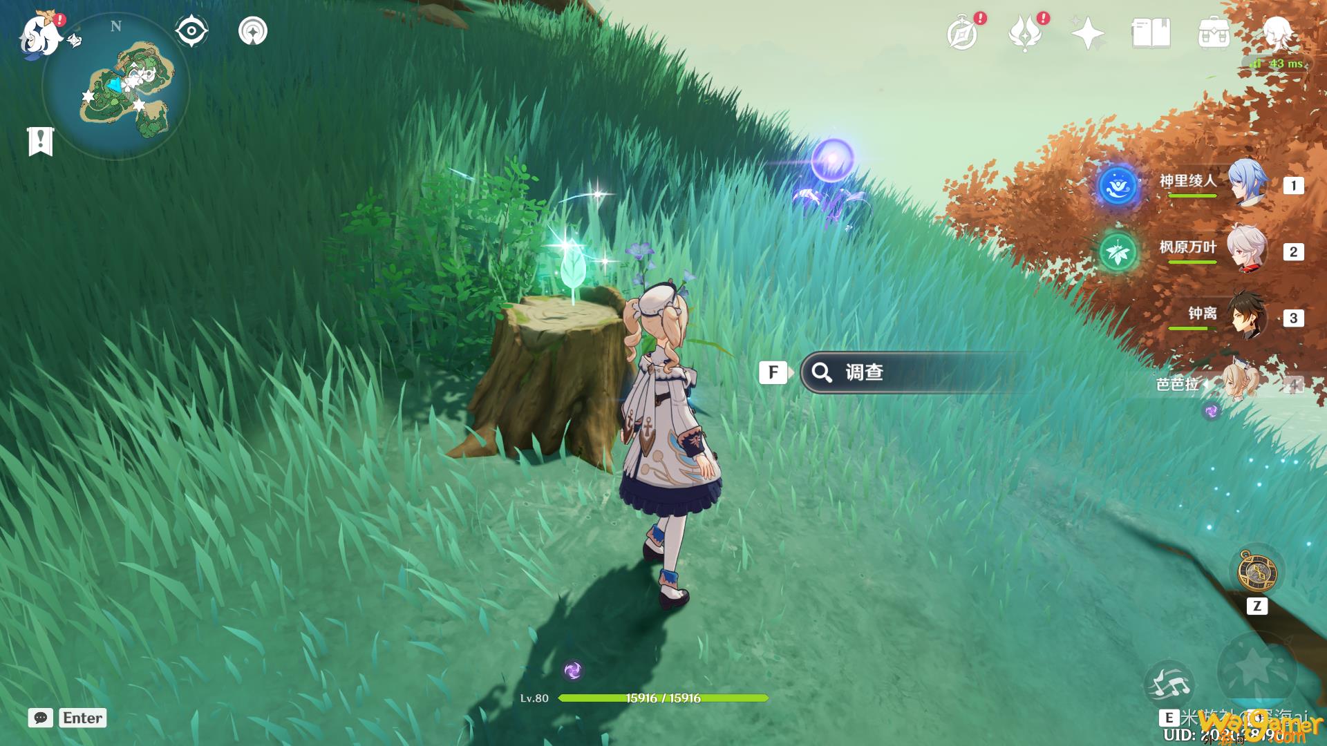 原神渴望旅行的妖狸解谜略(原神渴望旅行的妖狸解谜)
