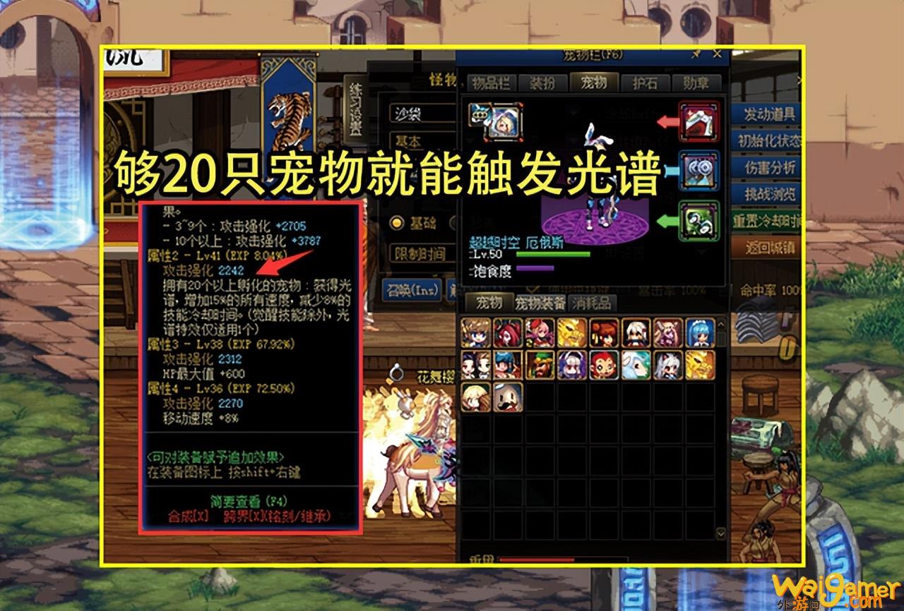 dnf宠物装备（dnf宠物装备怎么拿）(dnf宠物装备)