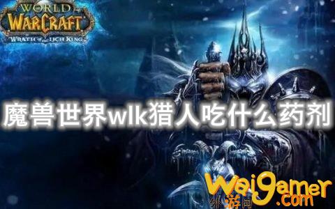 魔兽世界wlk猎人吃什么药剂(魔兽世界wlk猎人输出手法)