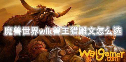 魔兽世界wlk兽王猎雕文怎么选(魔兽世界wlk兽人死骑坦)