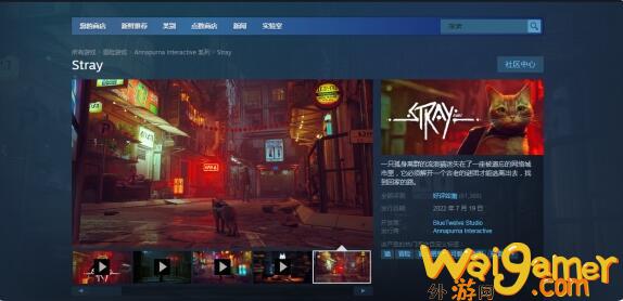 《Stray》包含隐藏的光线追踪选项更好展现赛博朋克场景，游戏《Stray》
