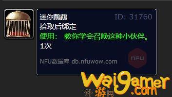 魔兽世界迷你鹦鹉有什么用(魔兽世界花羽鹦鹉掉落位置)