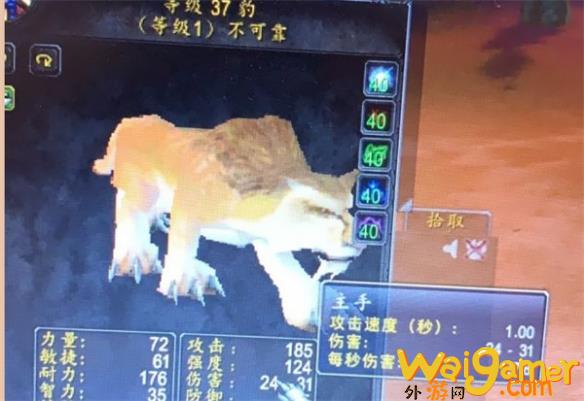 魔兽世界乌龟服断牙多久刷新