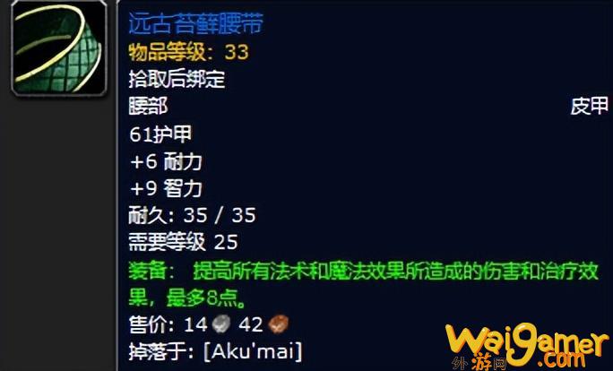 魔兽世界plus阿库麦尔掉落一览(魔兽世界plus法师符文)