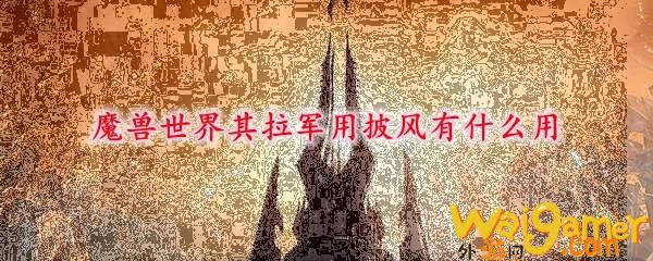 魔兽世界其拉军用披风有什么用(魔兽世界其拉虫人)