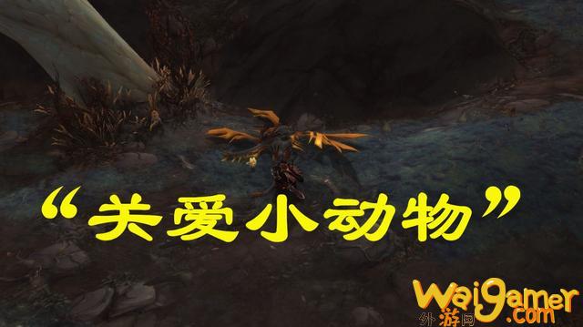 魔兽世界关爱小动物任务完成的方法是什么