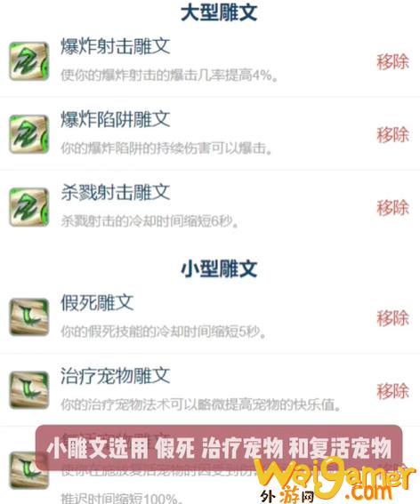 魔兽世界怀旧服猎人超级直升配装攻略