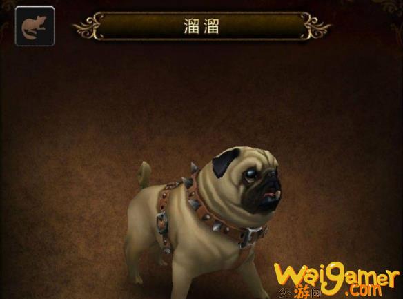 魔兽世界溜溜怎么获得