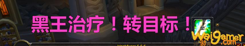 魔兽世界TOC瓦格里双子特别技能应对WA(魔兽瓦加在哪)