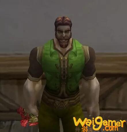 魔兽世界wlk盗贼职业任务普通野花哪买