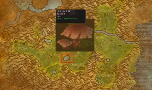 魔兽世界加基森变身药水怎么获得(魔兽世界加基森变骷髅的药剂)