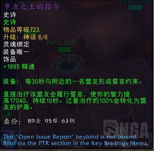魔兽世界恩护唤魔师饰品怎么选_wishdown.com