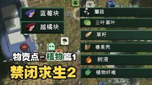 禁闭求生2蓝莓越橘松针物资位置在哪(禁闭求生蓝莓怎么砍)