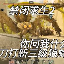 禁闭求生2怎么无伤打狼蛛(禁闭求生怎么无敌)